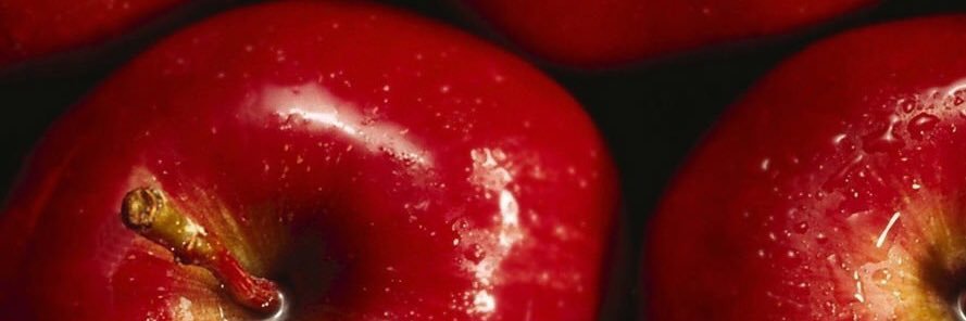 シードルちゃん ฅ^•ω•^ฅ banner