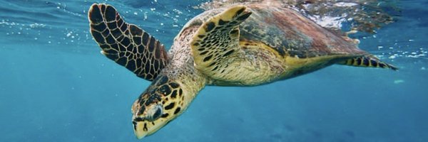 MarineJournalMV Profile Banner