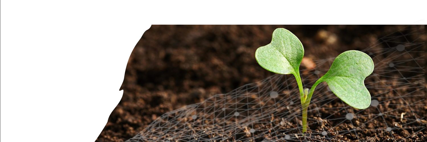 SFCOLAB - Digital Innovation In Agriculture banner