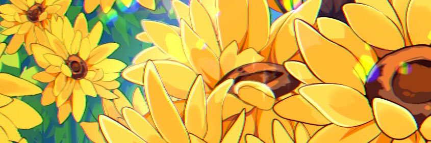 Moah banner
