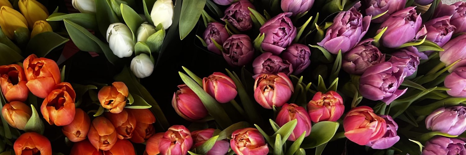 itz 🌷 banner