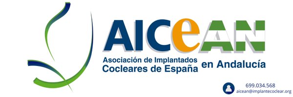 AICEAN_IC Profile Banner