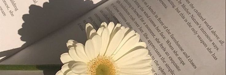 soll banner