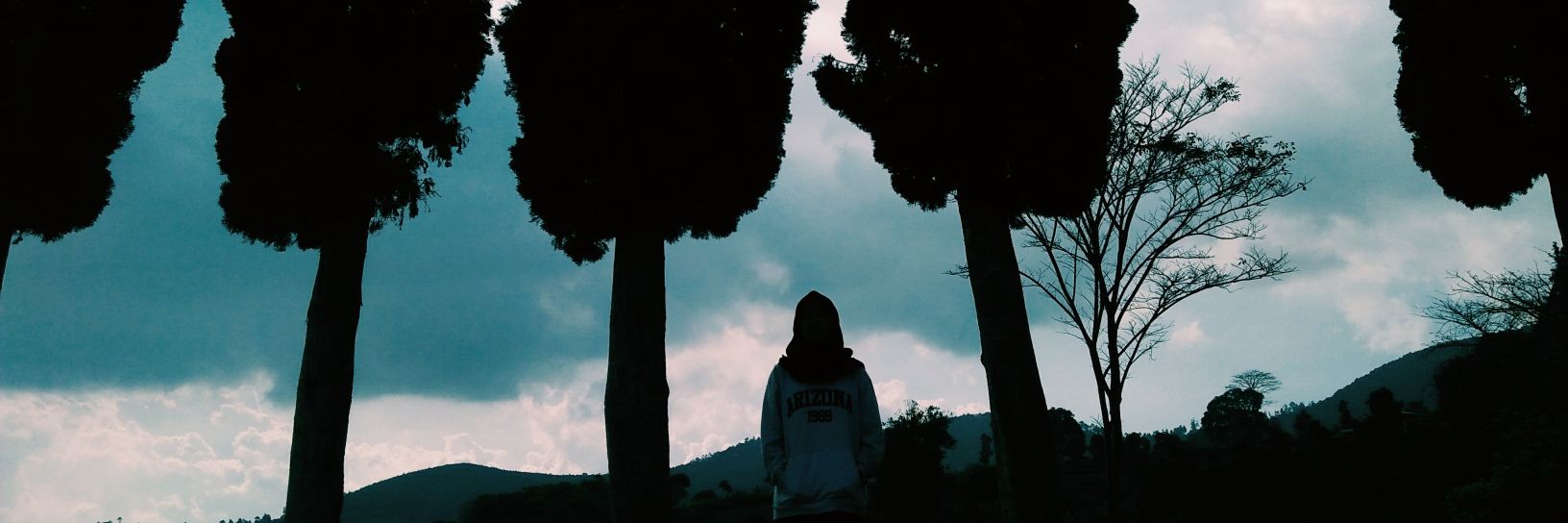 desidrdr's profile banner image
