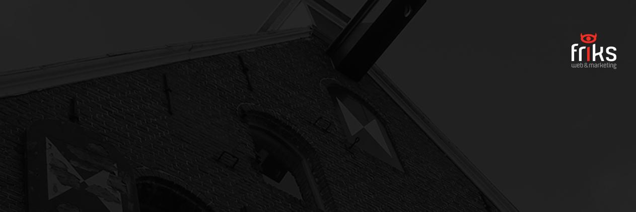 Friks Web Marketing banner