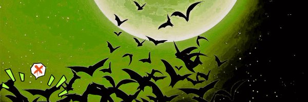 ROHTINFLESH Profile Banner