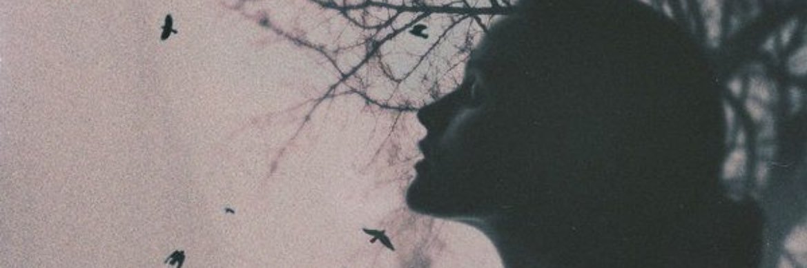 elyperanova's profile banner image