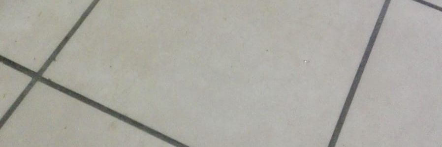 Monarenice's profile banner image