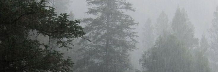 vorkmtt's profile banner image