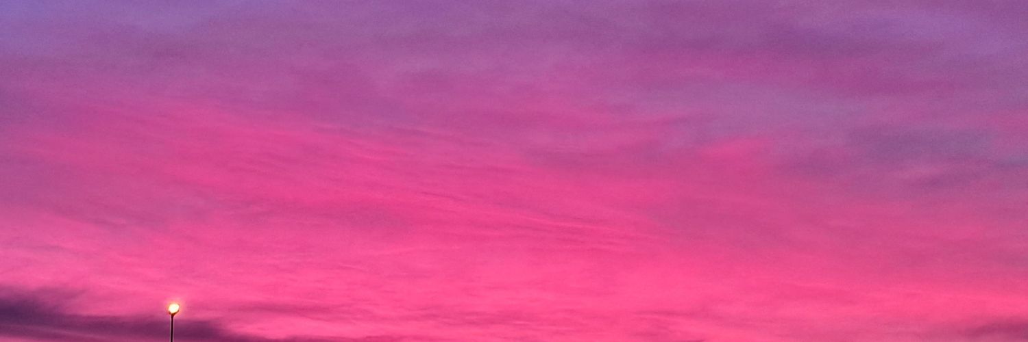 springcritter's profile banner image