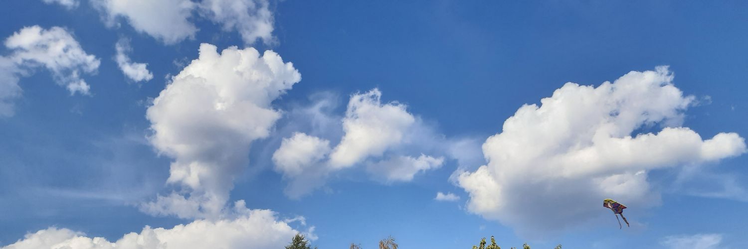 acelnik's profile banner image