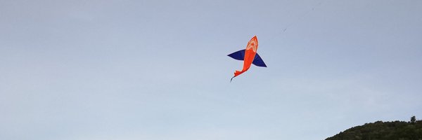 albibaro Profile Banner