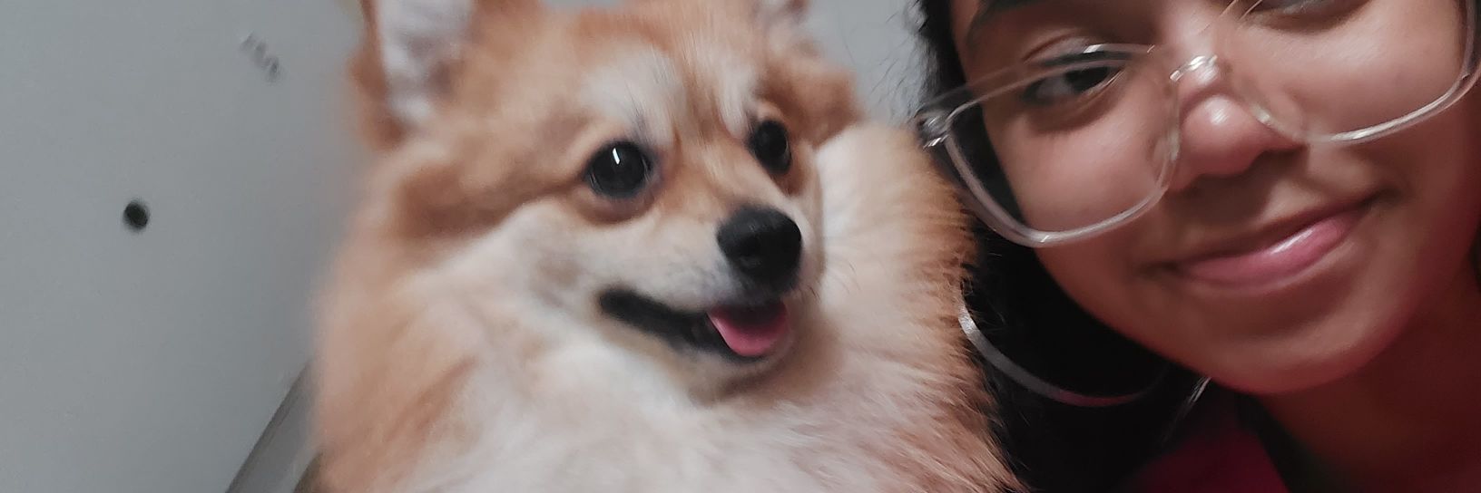 fefezete do crochê 🧶 banner