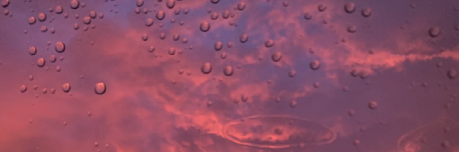 ninuninuninik's profile banner image