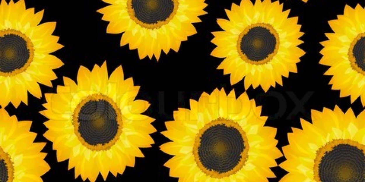Chloecooper_'s profile banner image