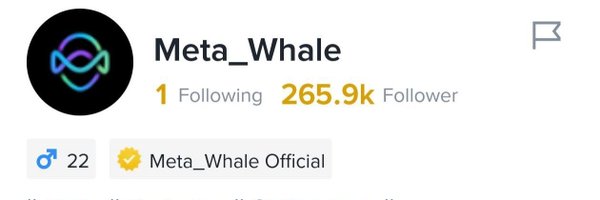 MetaWhaleOwner Profile Banner