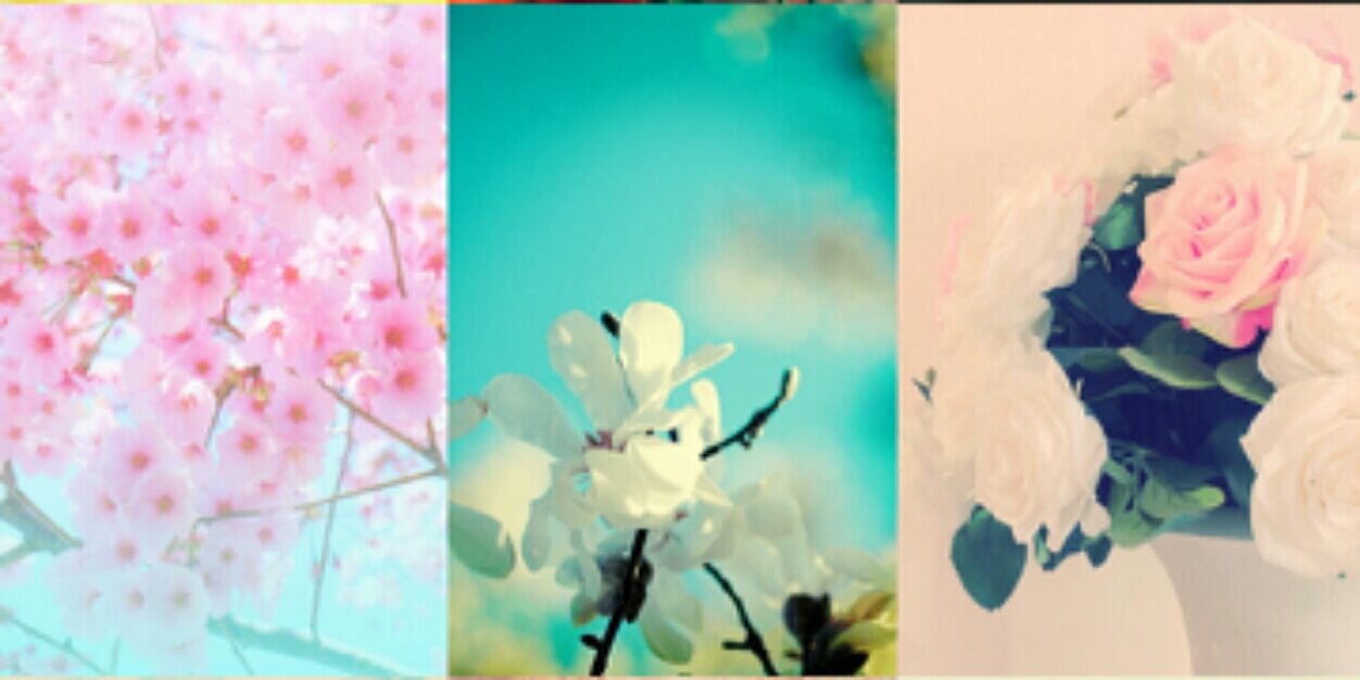 andestarahmaa's profile banner image