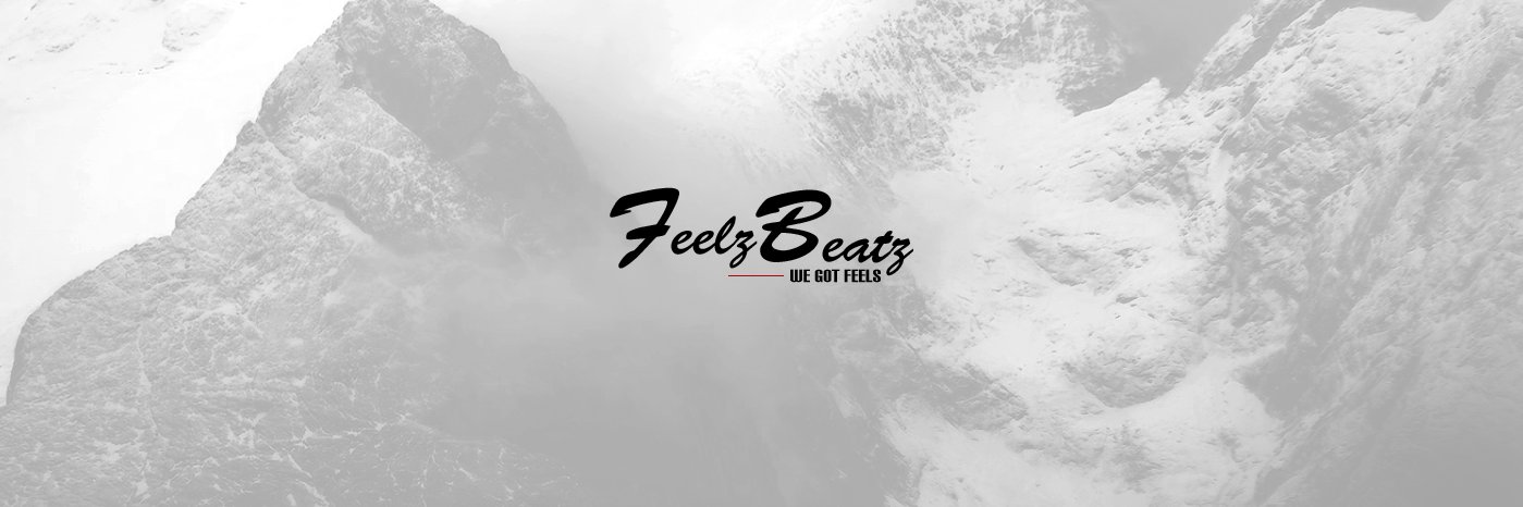 FeelzBeatz's profile banner image