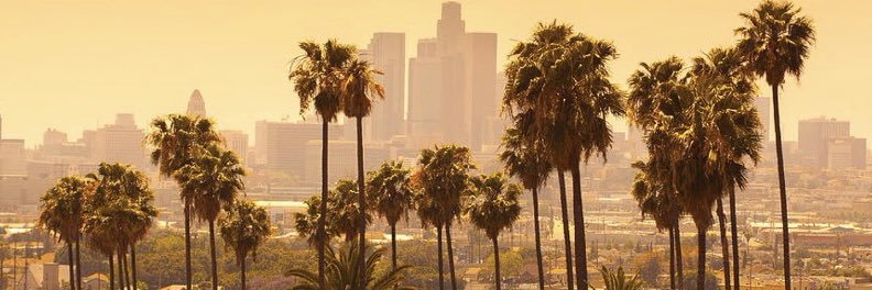 DodgerMattIG's profile banner image