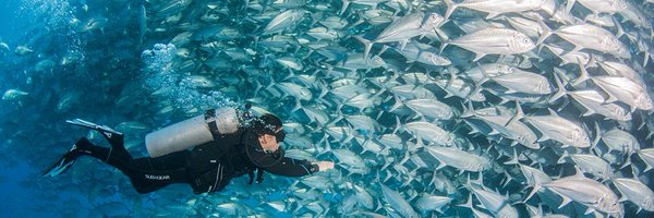 nanomotorupdate Profile Banner