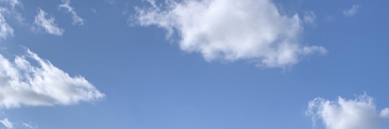 ch__x3's profile banner image