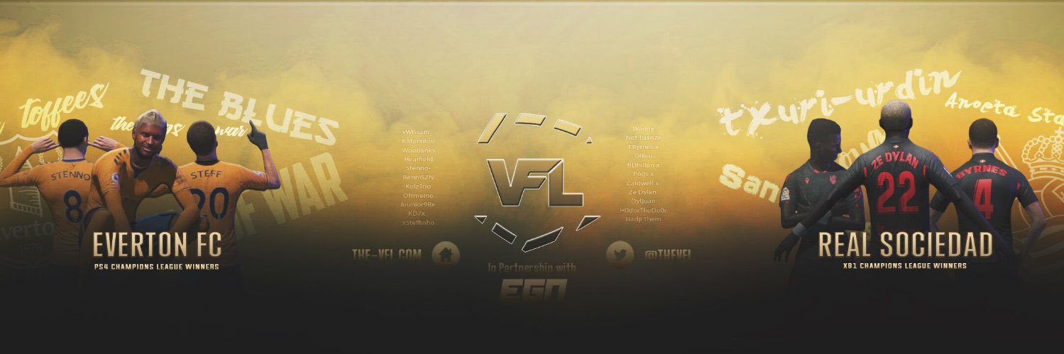 VFL Americas banner
