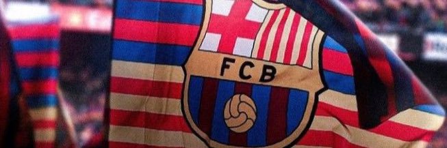 browser's banner