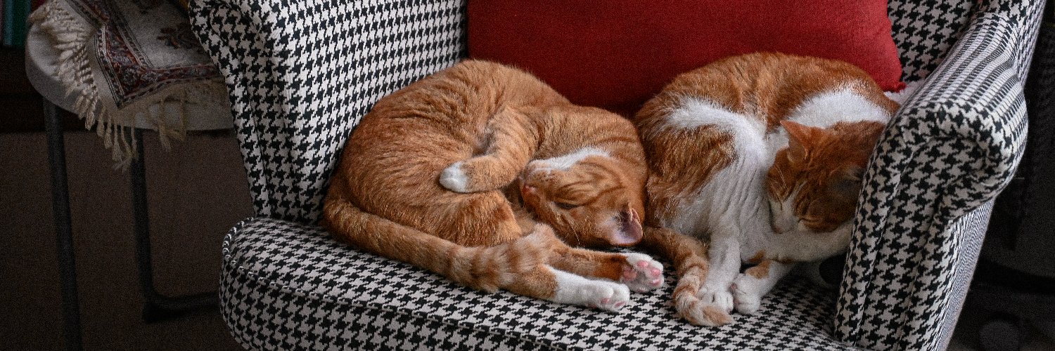 Pierce Conran banner