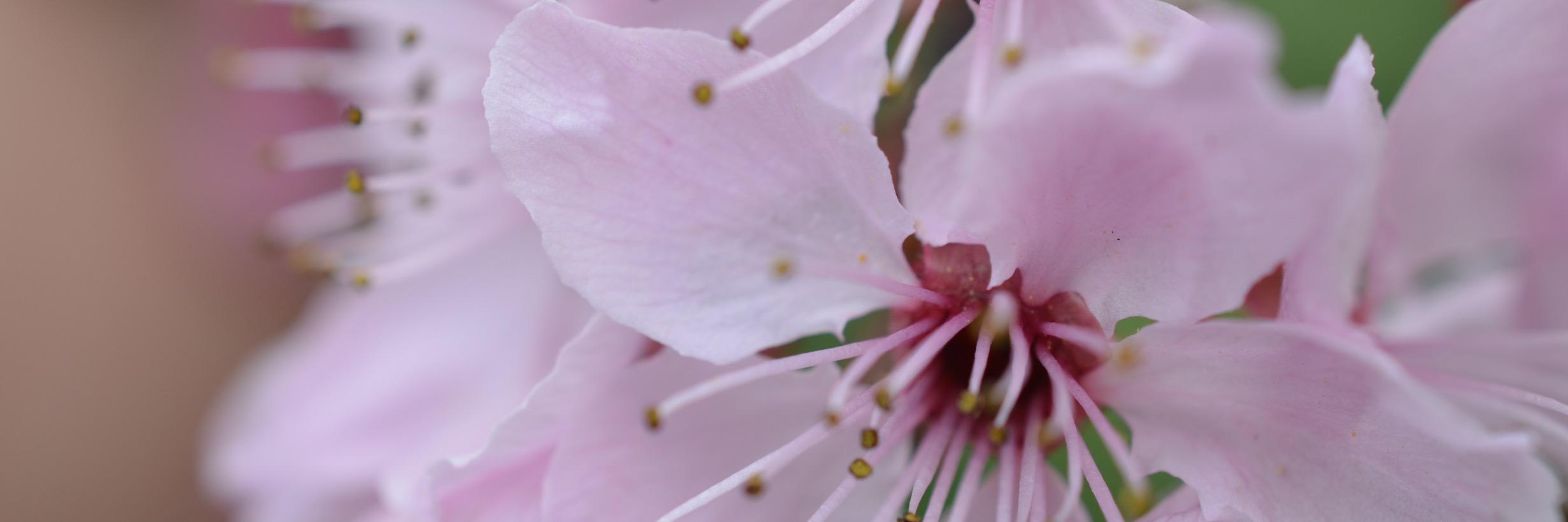 LindaCreedBC's profile banner image