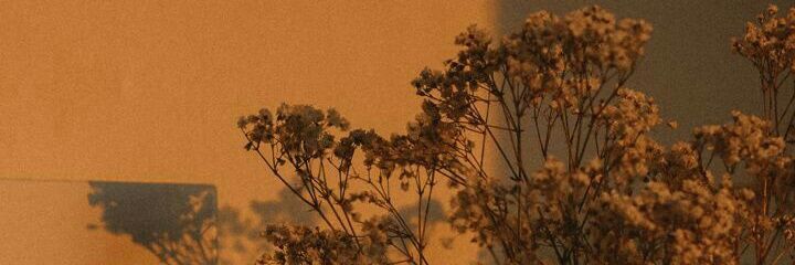 itsagrl's profile banner image