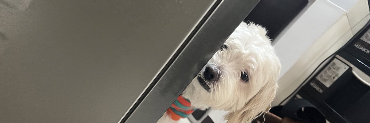 joycieeands's profile banner image