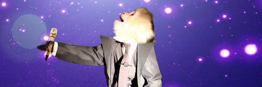 lazburke's profile banner image