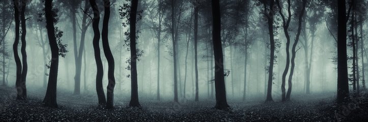 HS0l3's profile banner image