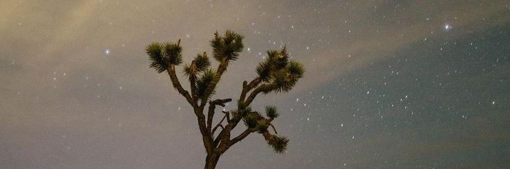 KoraKween_'s profile banner image