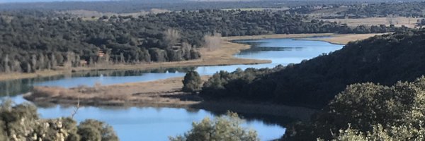 ObservatorioPat Profile Banner