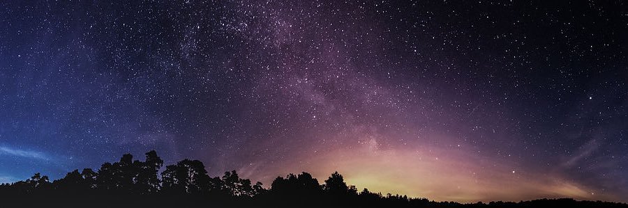 missnftel's profile banner image
