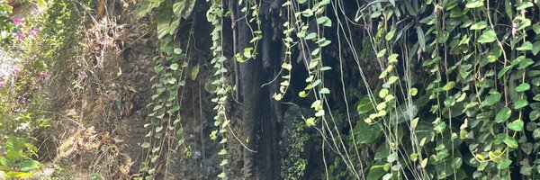 xamdl4 Profile Banner