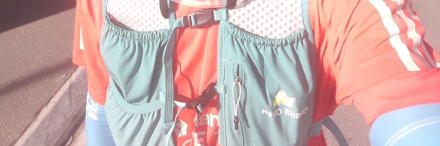 Viwe Runs banner