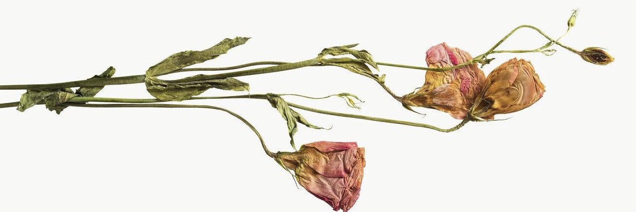 MargauxLOPEZ1's profile banner image