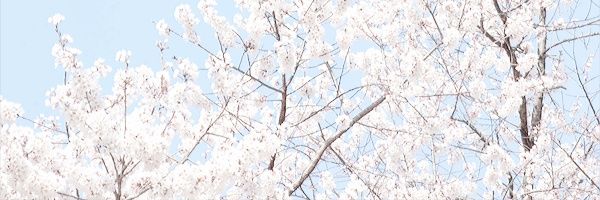 yoonmin_w's profile banner image