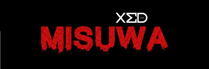 XED256 banner