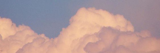 milk___te_a's profile banner image