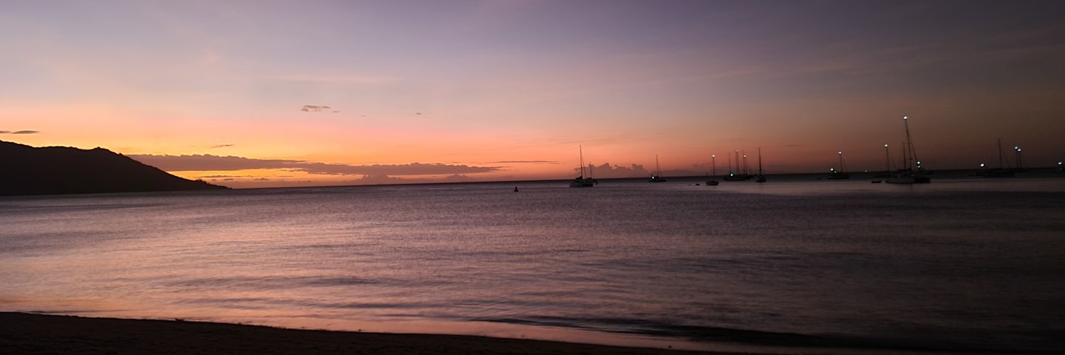 CalsaTwit's profile banner image