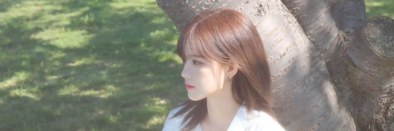 baixinyubot's profile banner image