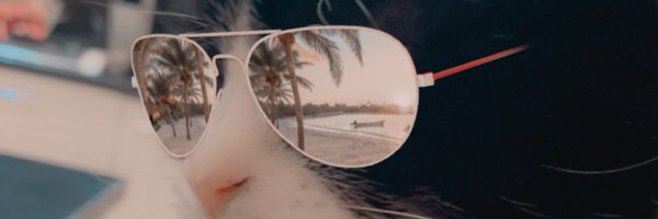 alex_canale Profile Banner