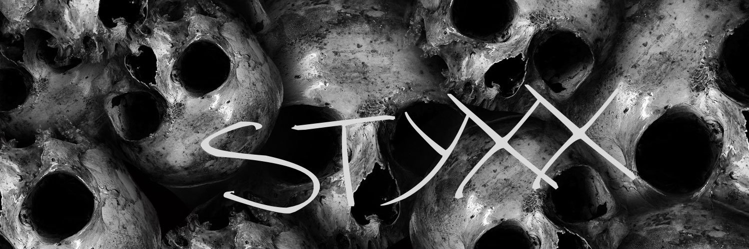 Styxx banner