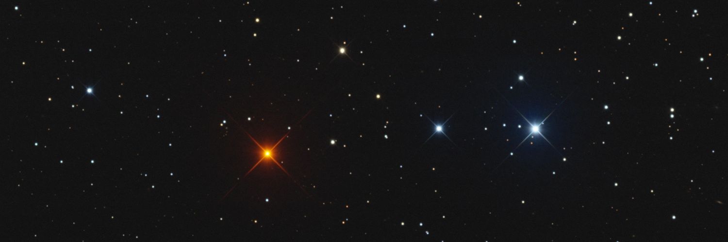 reneeguzzo_'s profile banner image