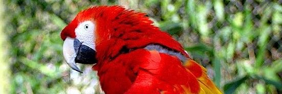 rolmasz1's profile banner image