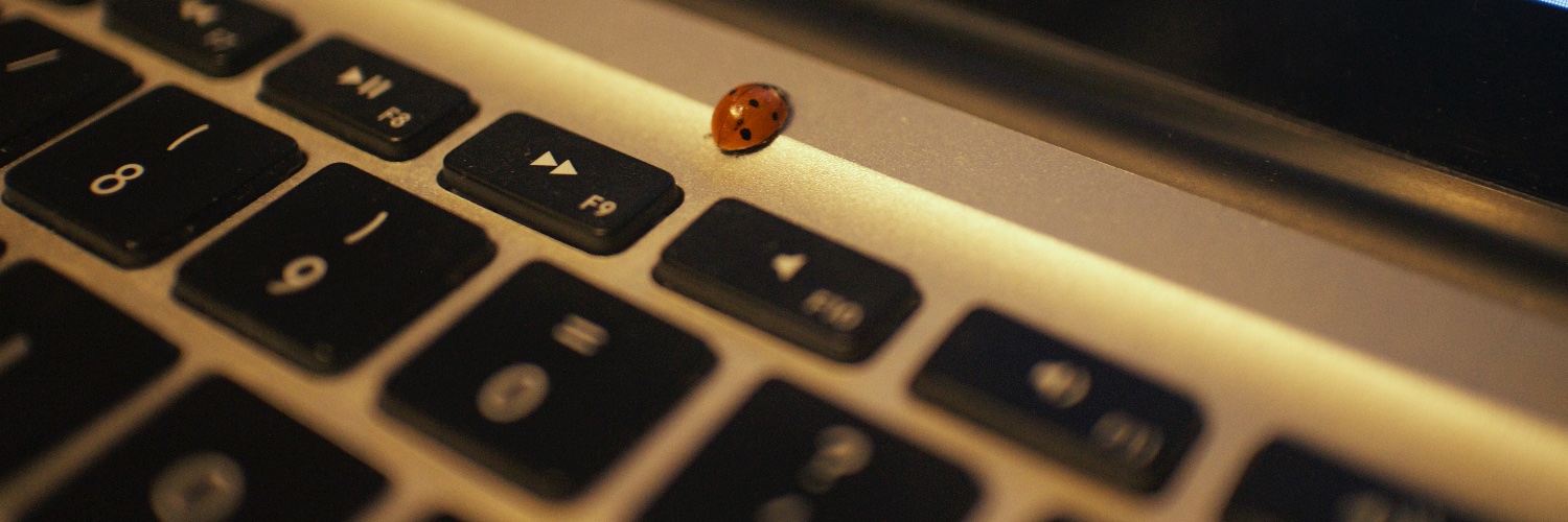 Matusalem Marques banner