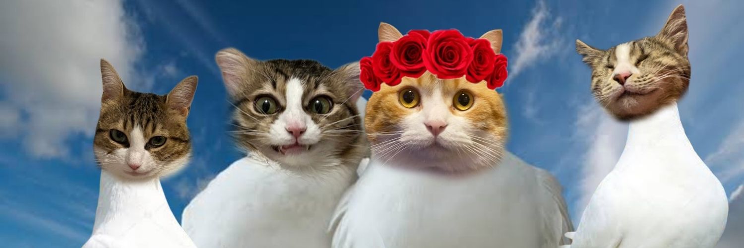 Kedi kız's banner